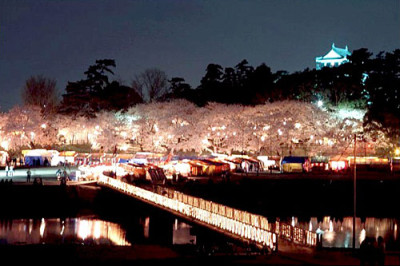 岡崎城 夜桜