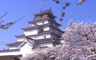 鶴ヶ城 桜