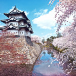 弘前公園の桜2020開花見ごろ弘前さくらまつりはいつから？