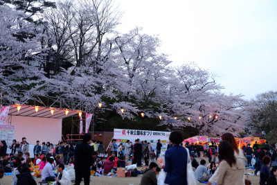 千秋公園 桜まつり