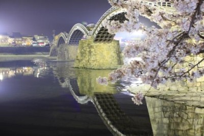 錦帯橋 夜桜