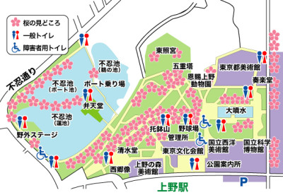 上野公園 桜 見どころ 地図