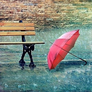 雨 傘
